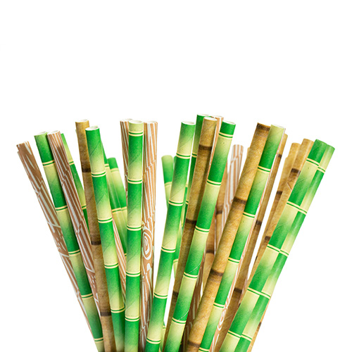 Green Bamboo Pattern 25pc Paper Straws
