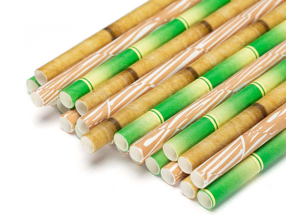 Bamboo Paper Straw