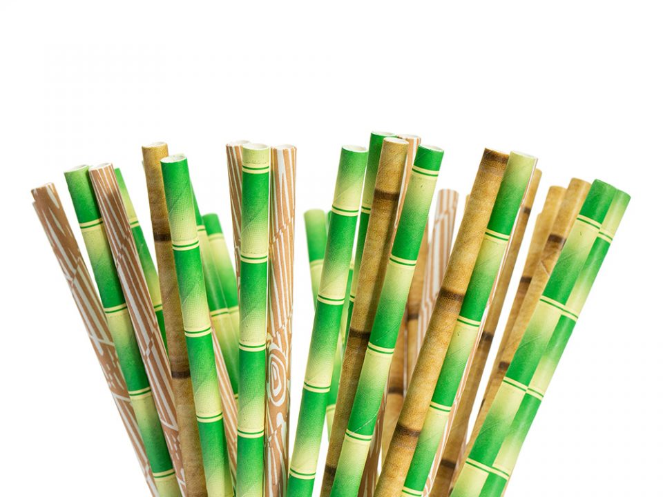 Bamboo Paper Straw